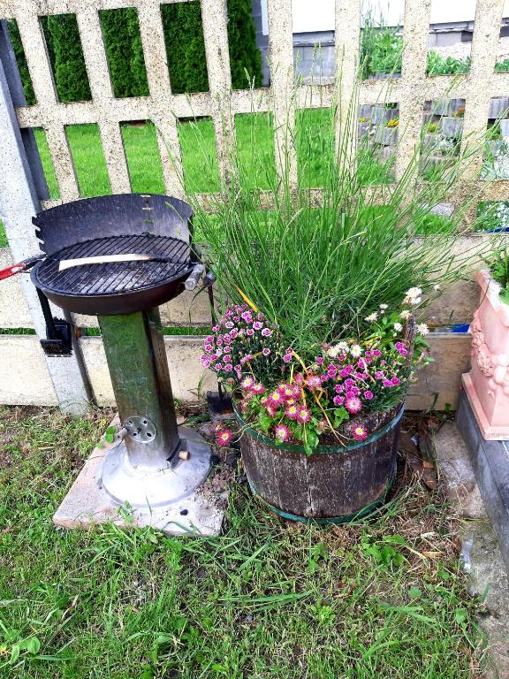 U Mateje Pasohlavky room 1